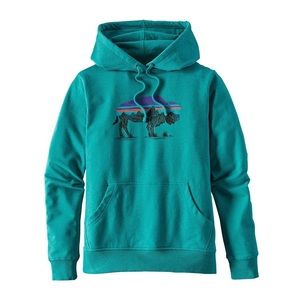 COPY - Patagonia Fitz Roy hoodie